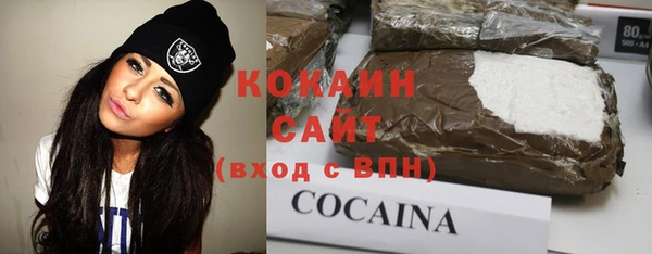 гашик Гусев