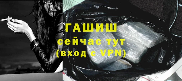 гашик Гусев