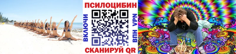 Галлюциногенные грибы MAGIC MUSHROOMS  даркнет формула  Кущёвская 