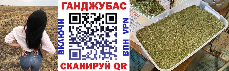 Марихуана гибрид  Кущёвская 